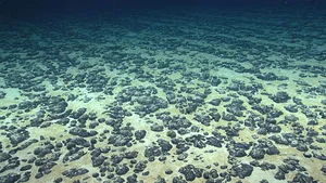 Astonishing Deep Sea Treasure Mine Discovered in the Midnight Zone - image 6