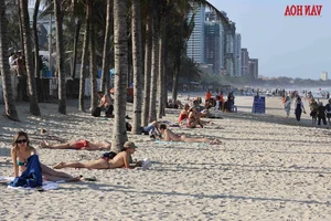 Why Da Nang Beach Continues to Captivate International Travelers - image 9