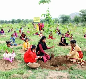 Piplantri Village: Planting 111 Trees for Every Baby Girl Born in India - image 4