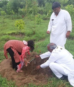 Piplantri Village: Planting 111 Trees for Every Baby Girl Born in India - image 7