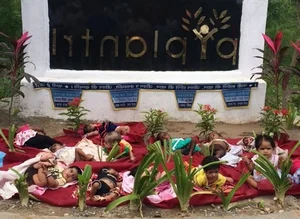 Piplantri Village: Planting 111 Trees for Every Baby Girl Born in India - image 1