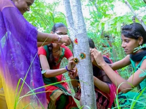 Piplantri Village: Planting 111 Trees for Every Baby Girl Born in India - image 5