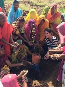 Piplantri Village: Planting 111 Trees for Every Baby Girl Born in India - image 0