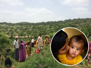 Piplantri Village: Planting 111 Trees for Every Baby Girl Born in India - image 6