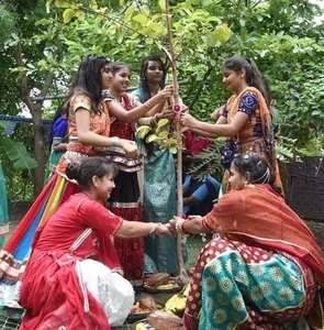 Piplantri Village: Planting 111 Trees for Every Baby Girl Born in India - image 2