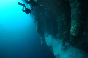 The Science and Beauty of Hidden Submerged Landscapes - image 4