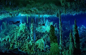 The Science and Beauty of Hidden Submerged Landscapes - image 3