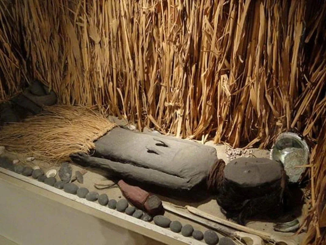 Mysterious Well-Preserved Mummies Discovered in the Peruvian Desert