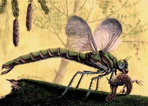 14 Incredible Facts About Dragonflies: Nature's Ultimate Aerial Hunters - image 6