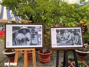 Celebrating Francophone Day in Ho Chi Minh City: French as a Bridge for Global Cultures and Careers - image 0