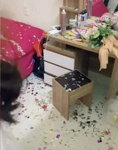 Viral Wedding Moment: Bride’s Surprising Reaction After Champagne Incident - image 2