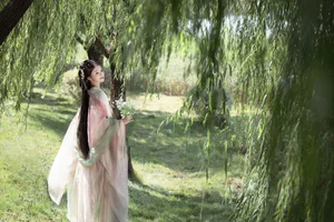 Elegant Visual Narratives: Qiu Qiu in Art Language Vol.6473 - image 3