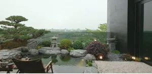 Inside the Stunning Black Villa with Rare Paddy Field Views in Hanoi - image 13