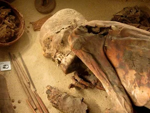 Ancient Secrets Revealed: 5,600-Year-Old Mummy Provides Incredible Insights into the Past - image 1