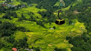 Discovering the Ethereal Beauty of Sa Pa: A Journey Through Vietnam’s Misty Mountains and Terraced Fields - image 4
