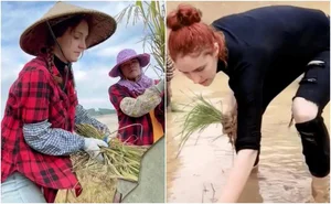 From ATM Rescue to True Love: The Heartwarming Story of an Ordinary Farmer - image 7
