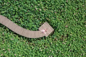 Discover Hang Mua in Ninh Binh During the September 2nd Holiday - image 2