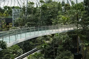 Inside Singapore’s Changi Airport: Exploring the World’s Most Modern and Luxurious Aviation Hub - image 13