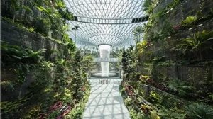 Inside Singapore’s Changi Airport: Exploring the World’s Most Modern and Luxurious Aviation Hub - image 6