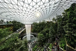 Inside Singapore’s Changi Airport: Exploring the World’s Most Modern and Luxurious Aviation Hub - image 4