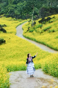 Suoi Giang Welcomes Travelers with Stunning Golden Landscapes - image 6