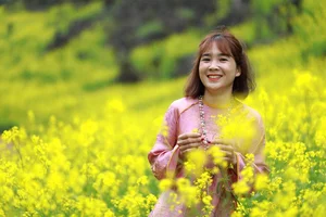 Suoi Giang Welcomes Travelers with Stunning Golden Landscapes - image 2