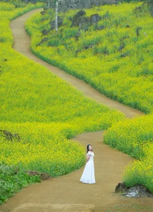 Suoi Giang Welcomes Travelers with Stunning Golden Landscapes - image 7