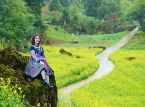 Suoi Giang Welcomes Travelers with Stunning Golden Landscapes - image 4