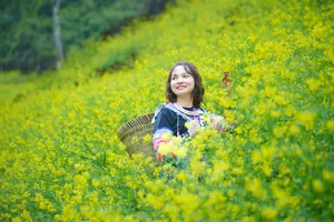Suoi Giang Welcomes Travelers with Stunning Golden Landscapes - image 12