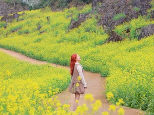 Suoi Giang Welcomes Travelers with Stunning Golden Landscapes - image 8
