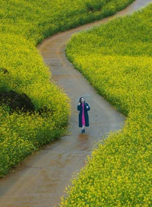 Suoi Giang Welcomes Travelers with Stunning Golden Landscapes - image 11