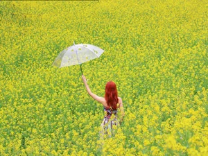 Suoi Giang Welcomes Travelers with Stunning Golden Landscapes - image 9