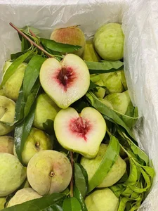 Sapa Crow-Beak Peaches: How to Identify Genuine Vietnamese Fruit from Imports - image 4
