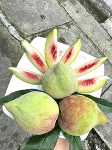 Sapa Crow-Beak Peaches: How to Identify Genuine Vietnamese Fruit from Imports - image 1