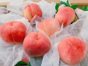 Sapa Crow-Beak Peaches: How to Identify Genuine Vietnamese Fruit from Imports - image 2