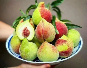 Sapa Crow-Beak Peaches: How to Identify Genuine Vietnamese Fruit from Imports - image 6
