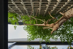 Stunning Hilltop House Design Engineered for Natural Year-Round Breezes - image 7