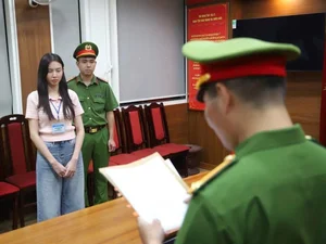 Thuy Tien: From Miss Grand International Stardom to Navigating Complex Legal Challenges - image 2