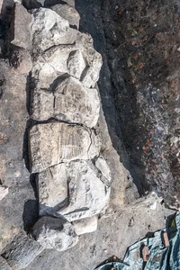History Beneath Our Feet: Ancient Tomb Discovered Under Local Ice Cream Shop - image 8