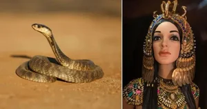 Solving History's Most Mysterious Deaths: Experts Struggle to Decode the Past - image 7