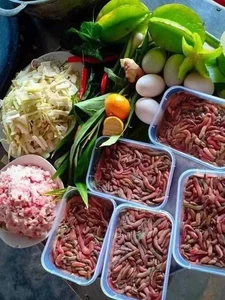 Termite Mushrooms: The Rare 'Heaven's Gift' Fetching High Prices in Vietnam - image 3