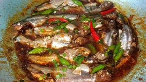 From 'Scary' Pest to Gourmet Delicacy: The Rise of the Pleco Fish Market - image 8