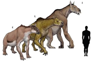Meet the Chalicothere: The Bizarre 'Half-Horse, Half-Primate' Ancient Beast - image 6