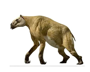 Meet the Chalicothere: The Bizarre 'Half-Horse, Half-Primate' Ancient Beast - image 1