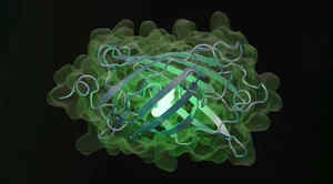 Next-Gen AI Models: Creating Synthetic Proteins Never Seen in Nature - image 6
