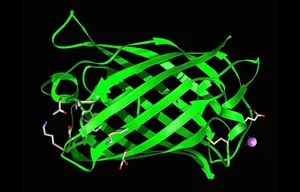 Next-Gen AI Models: Creating Synthetic Proteins Never Seen in Nature - image 8