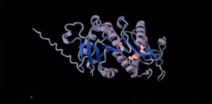 Next-Gen AI Models: Creating Synthetic Proteins Never Seen in Nature - image 1