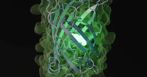 Next-Gen AI Models: Creating Synthetic Proteins Never Seen in Nature - image 4