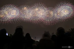 Spectacular Display: 10,000 Fireworks Light Up the Hanoi Sky - image 9