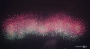 Spectacular Display: 10,000 Fireworks Light Up the Hanoi Sky - image 8